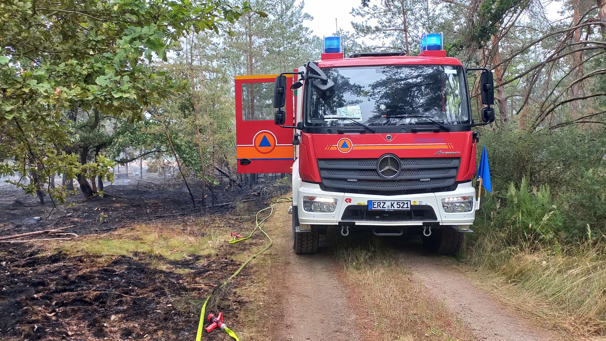 2025_Waldbrand_01_Fahrzeug_im_Wald.jpg